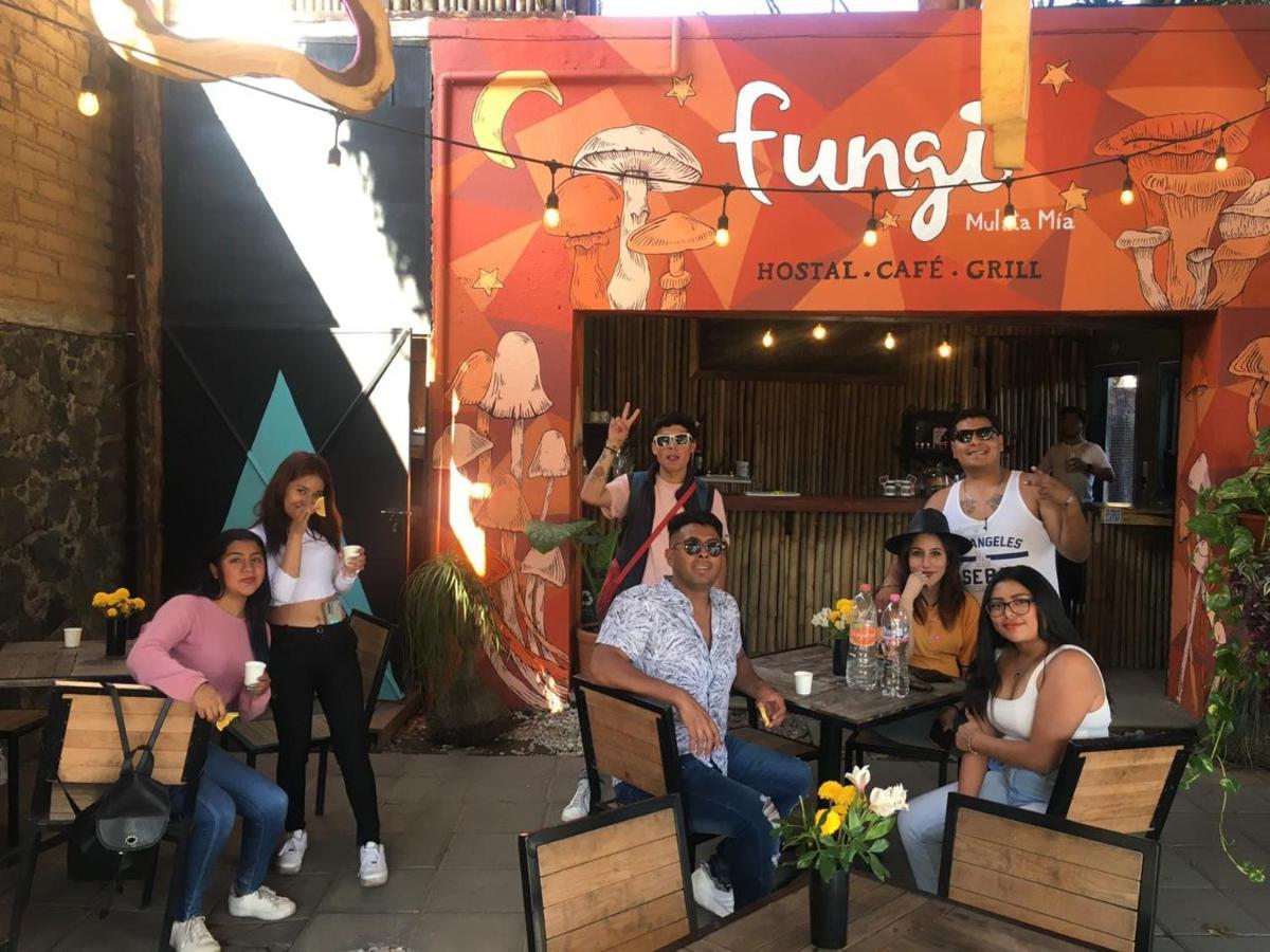 Hotel Fungi Tipis Tepoztlán Zewnętrze zdjęcie